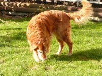 Gennas Super Geburtstagswetter