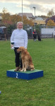 Yaspar Obedience Klasse 2