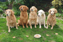 Yule Geburtstagsparty